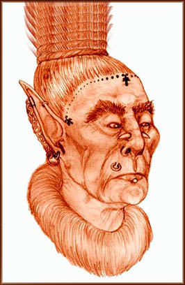 Troll Chief by Deborah Dixon