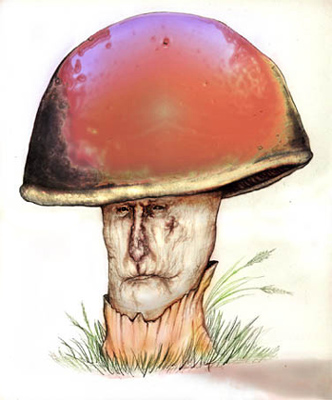 The Mushroom Man