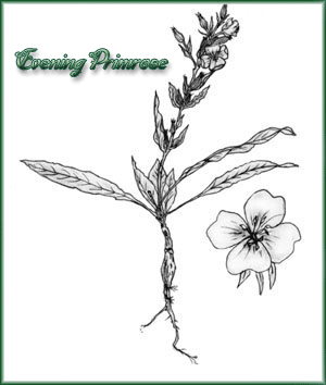 Teasle