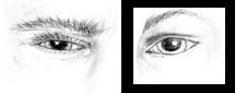 Troll eyes